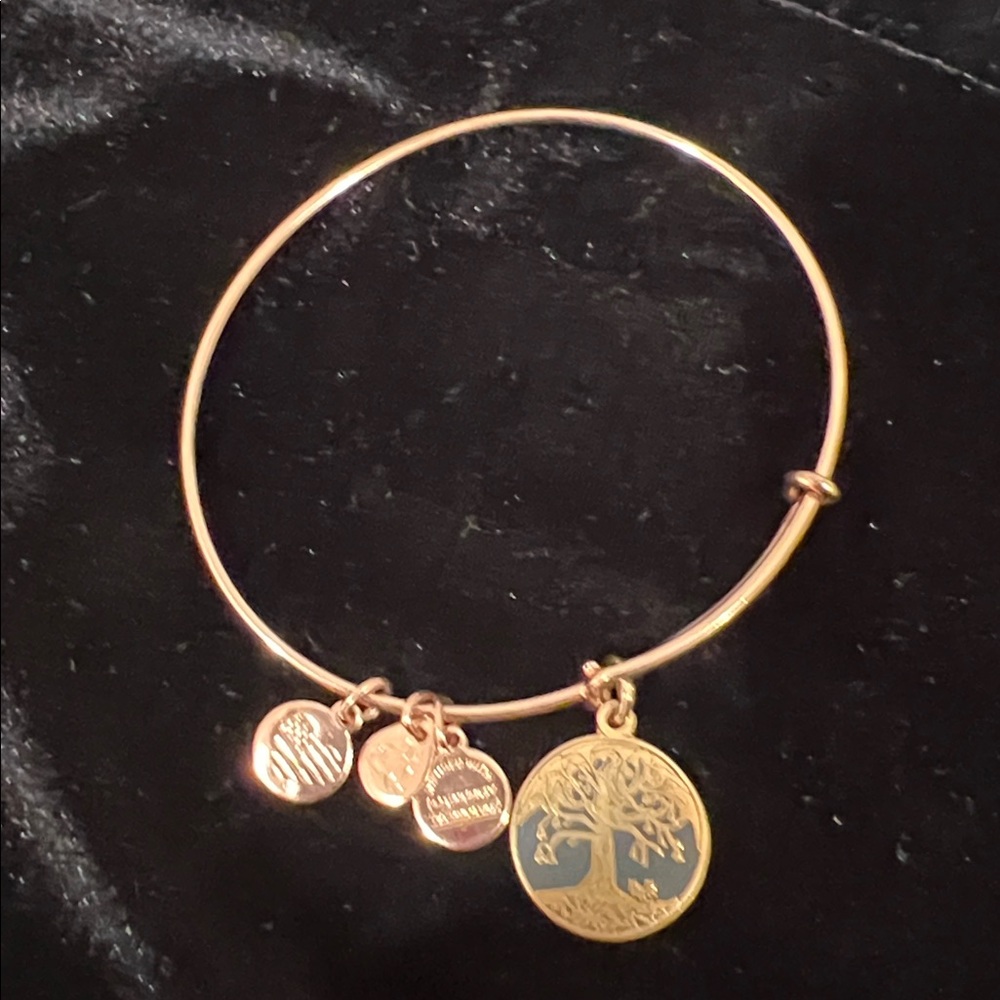 Alex and Ani Rose Gold Tree of Life Bangle Bracelet 2015
